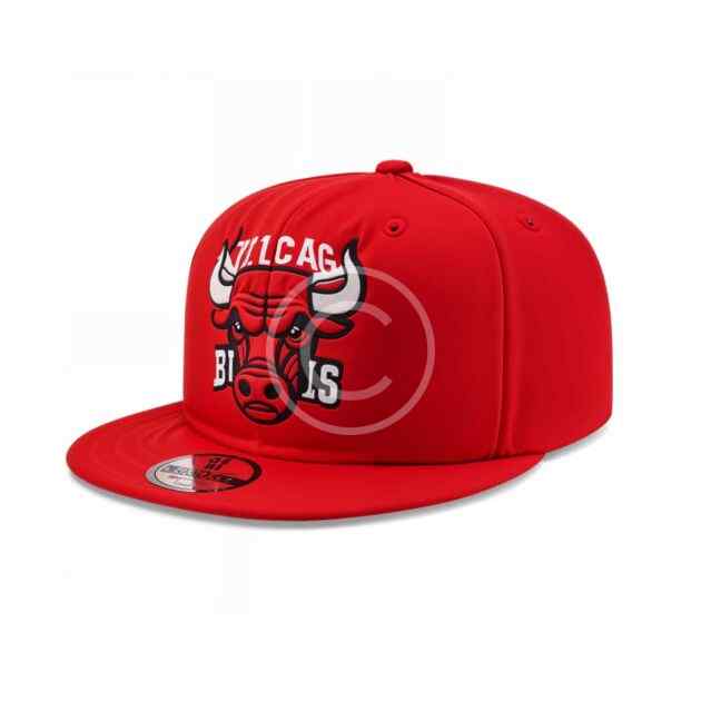 Bulls cap